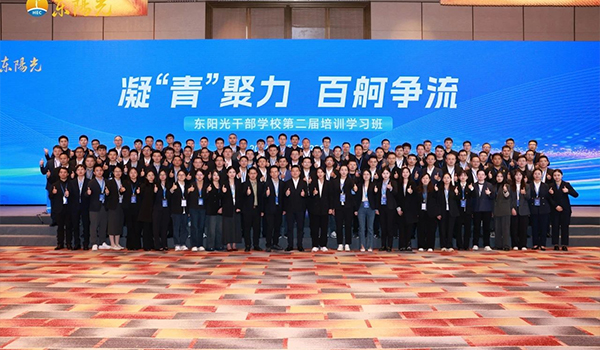 凝“青”聚力，百舸争流 | 壹号娱乐干部学校2024年第二届培训学习班圆满结束